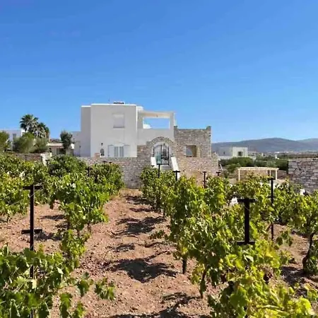 Apartment Kastron Aiolos 1 Sea View *